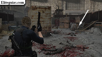 Este de Raccoon City (Leon)