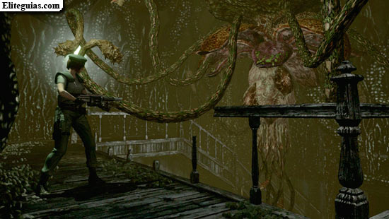 Planta 42