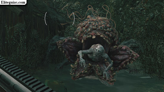 Moreau