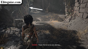 Capítulo VII: Muerte sembró