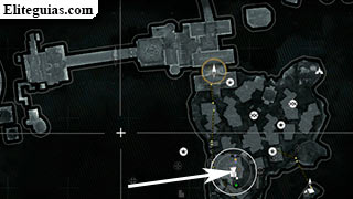 Agon&iacute;a desesperada
