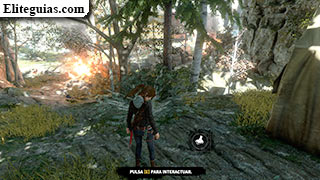 Alijo 2 (La Acr&oacute;polis)