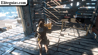 Placas identificativas, Tomb Raider Wiki