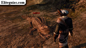 Caiman