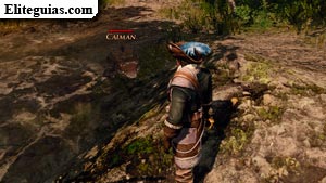 Caimán
