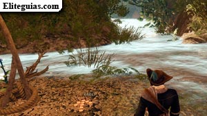 La jungla de los manglares