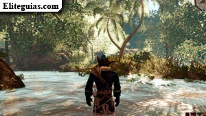 La jungla de los manglares