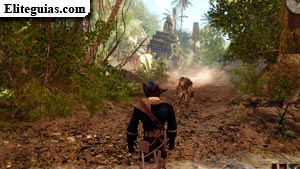La jungla de los manglares