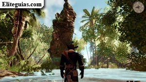 La jungla de los manglares