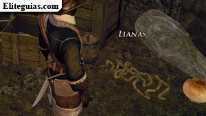 Lianas