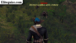 Mono garra azul feroz