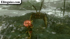 Araña de tumba