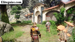El campamento de los magos