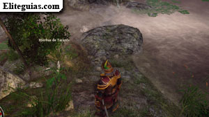 hierbas de Taranis