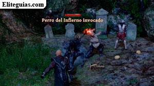 Solo quiere jugar