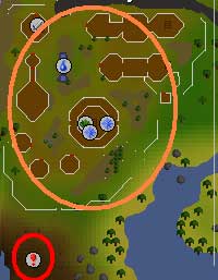 Druidic Ritual