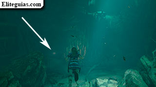 Alijo 3 (Cenote)