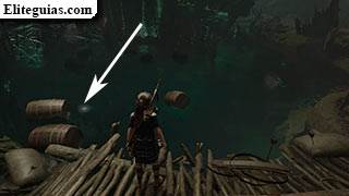 Alijo 6 (Cenote)