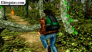 QTE en el bosque