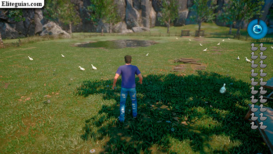 Atrapar patos