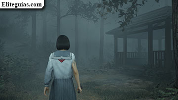 Ebisugaoka (cuarta visita)