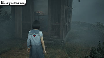 Ebisugaoka (cuarta visita)
