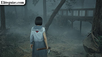 Ebisugaoka (cuarta visita)