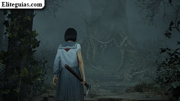 Ebisugaoka (cuarta visita)