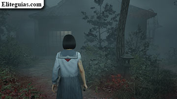 Ebisugaoka (cuarta visita)
