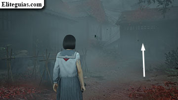 Ebisugaoka (cuarta visita)