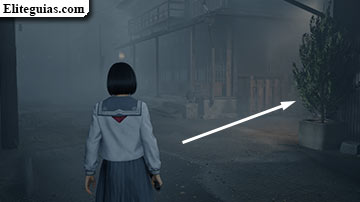 Ebisugaoka (segunda visita)