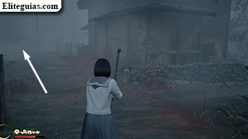 Ebisugaoka (segunda visita)