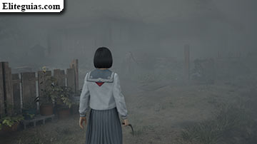 Ebisugaoka (segunda visita)
