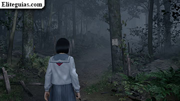 Ebisugaoka (segunda visita)