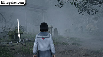 Ebisugaoka (segunda visita)
