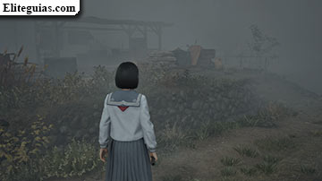 Ebisugaoka (segunda visita)