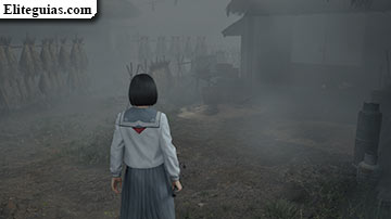 Ebisugaoka (segunda visita)