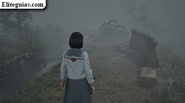 Ebisugaoka (segunda visita)