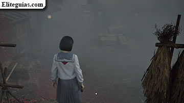 Ebisugaoka (segunda visita)