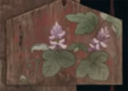 Kudzu