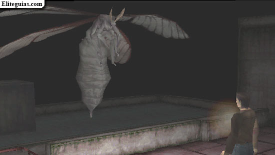 Polilla gigante
