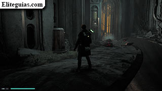 Esencia de Fuerza (7)