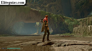 Fauna local de Kashyyyk