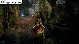 Fauna local de Kashyyyk