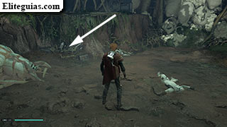 La batalla de Kashyyyk