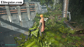 Liberar a los wookiees (Kashyyyk)