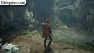 Liberar a los wookiees (Kashyyyk)