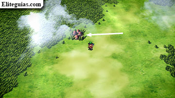 Gran Bosque