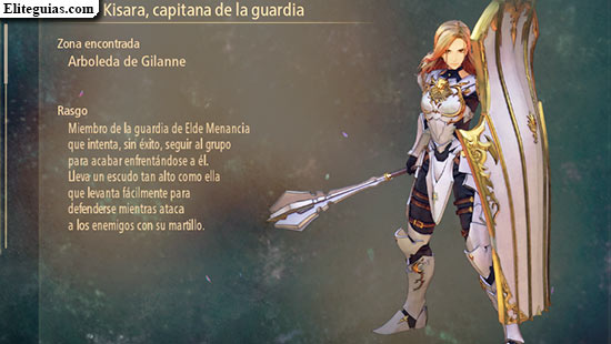 Kisara, capitana de la guardia