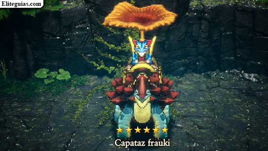 Capataz frauki